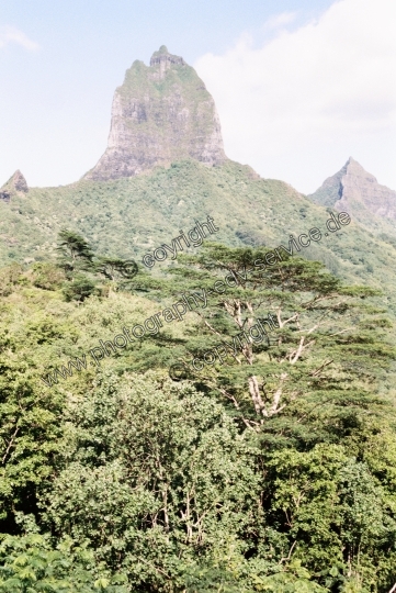 Moorea