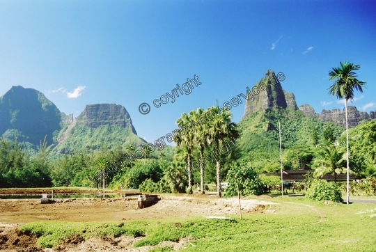Moorea
